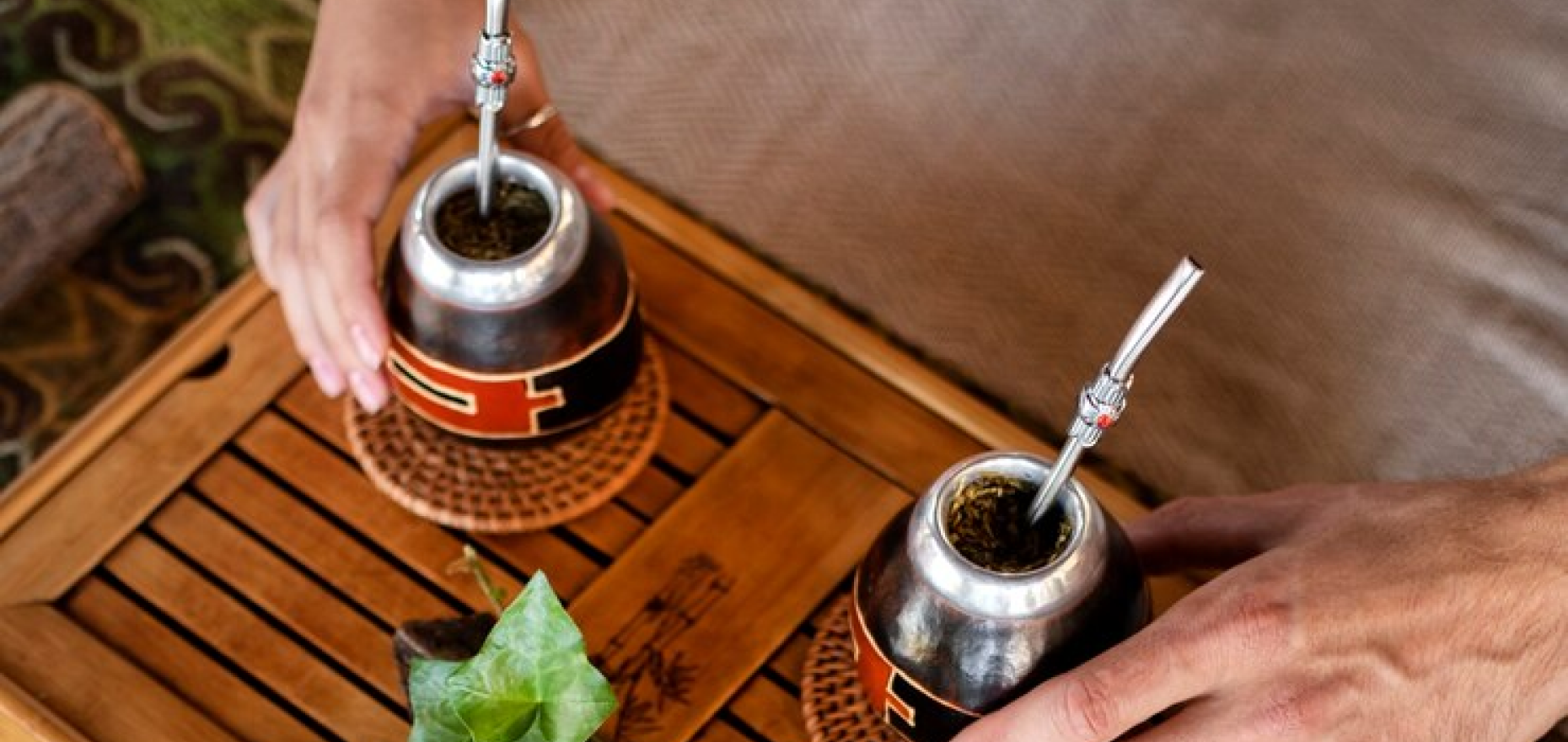 Saksham Ayurveda - Finding Your Path to Wellness - Ayurveda vs Allopathy